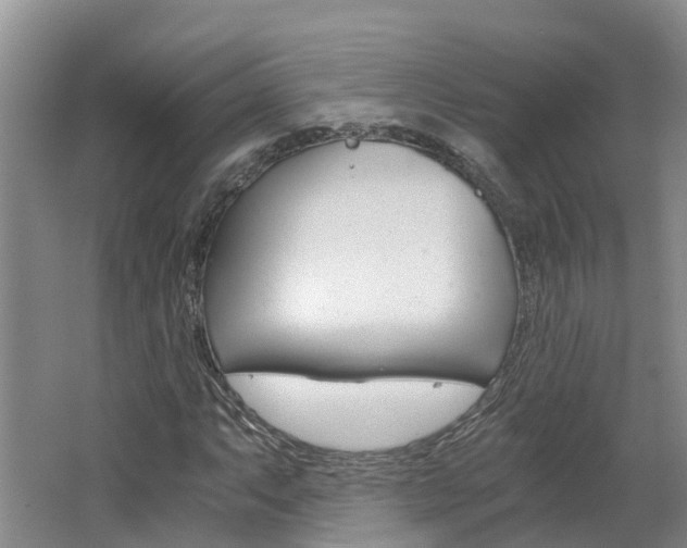 X0000062651063200512211028