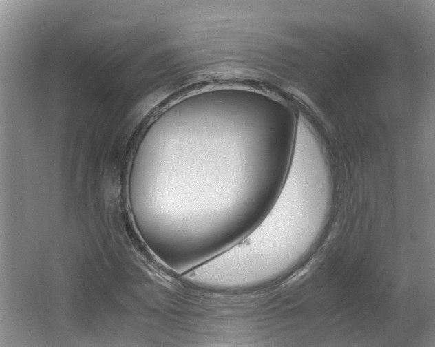 X0000062651065200512211028