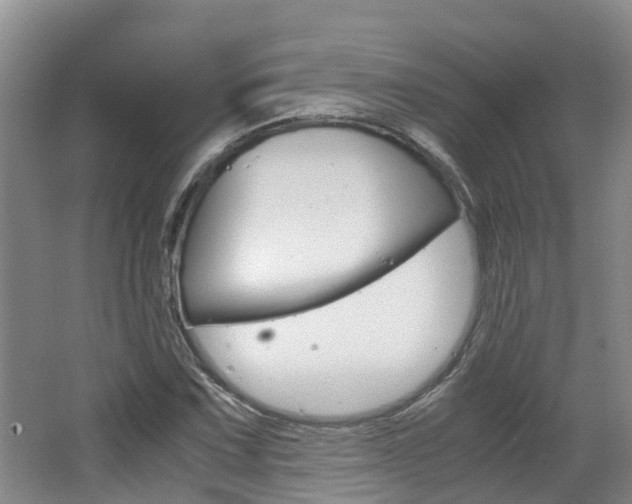 X0000062651067200512211028