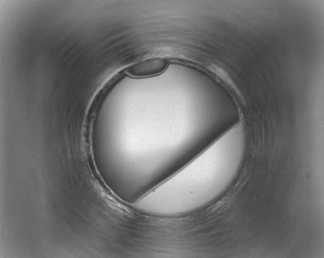 X0000062651068200512211028