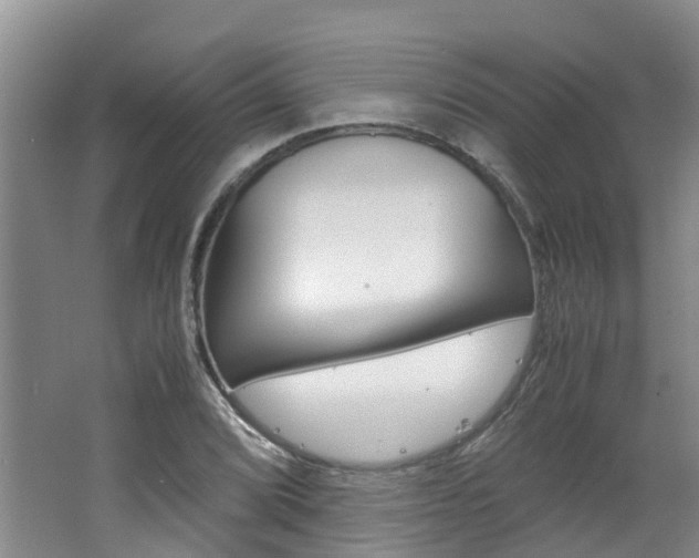 X0000062651072200512211028