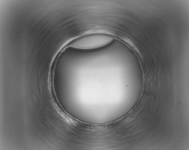 X0000062651076200512211028