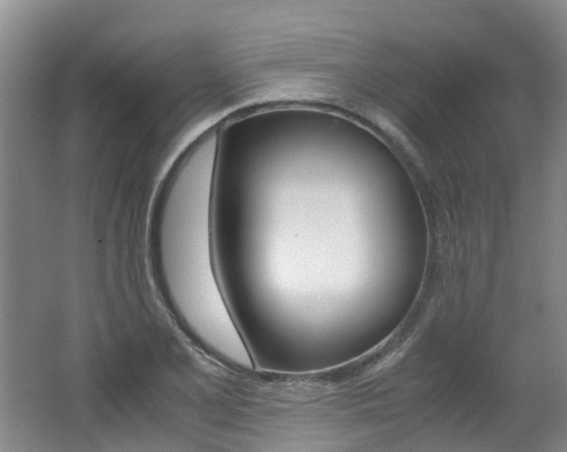 X0000062651077200512211028