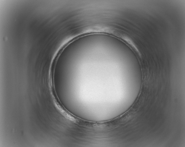 X0000062651080200512211028