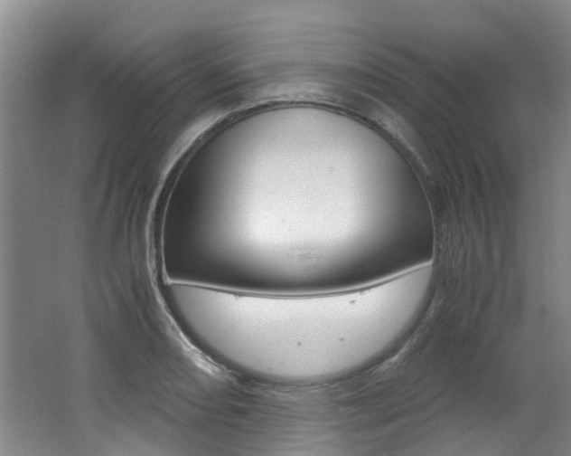X0000062651082200512211028