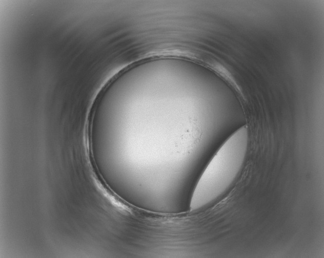 X0000062651084200512211028