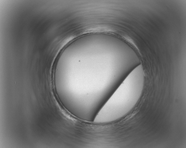X0000062651087200512211027