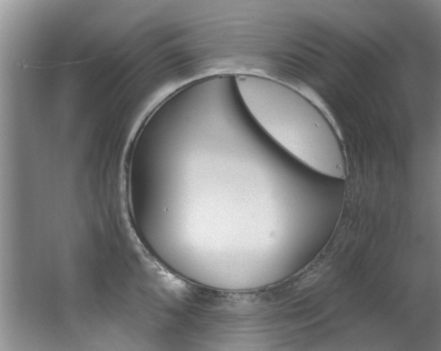 X0000062651096200512211027
