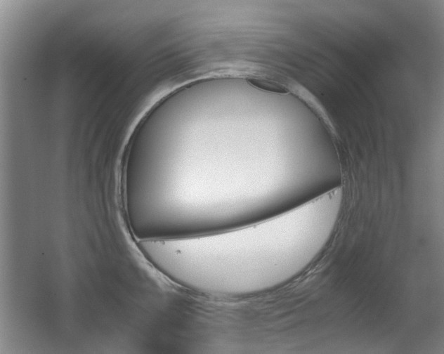 X0000062651099200512211027