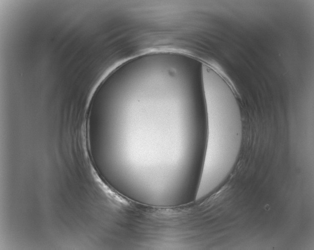 X0000062651100200512211027