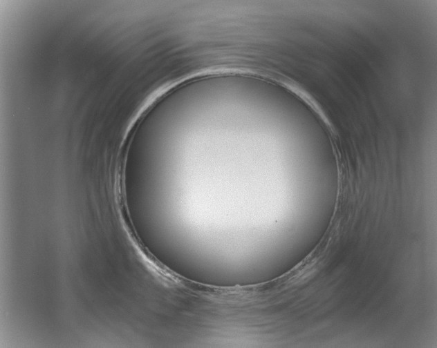 X0000062651101200512211027