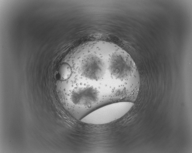 X0000062651105200512211026