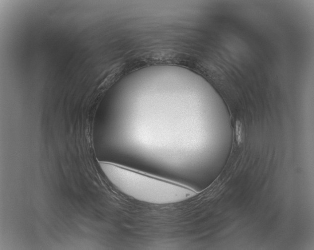 X0000062651107200512211026