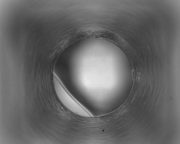 X0000062651108200512211026