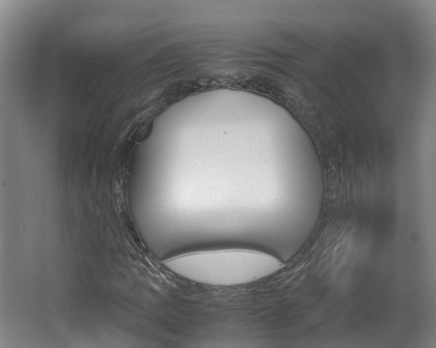 X0000062651109200512211026