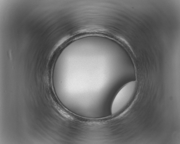 X0000062651114200512211027