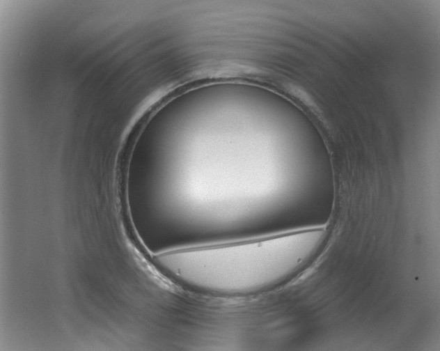 X0000062651122200512211027