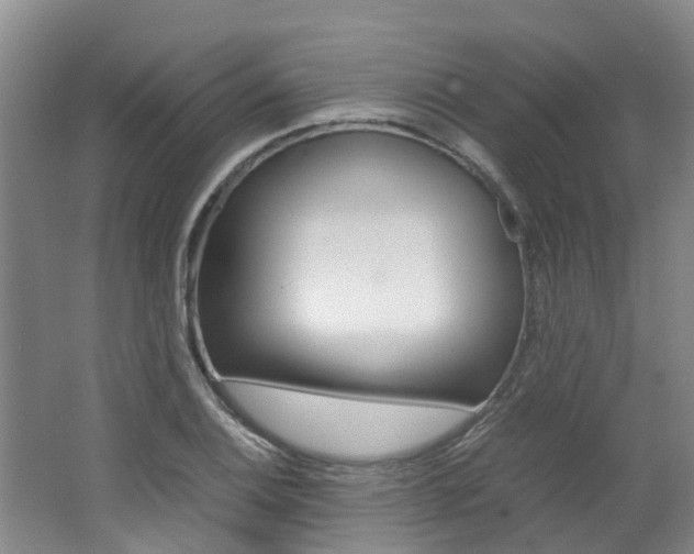 X0000062651124200512211027