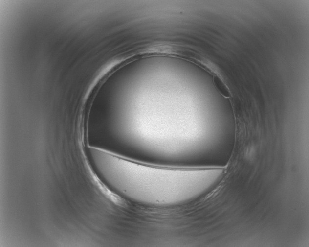 X0000062651131200512211027