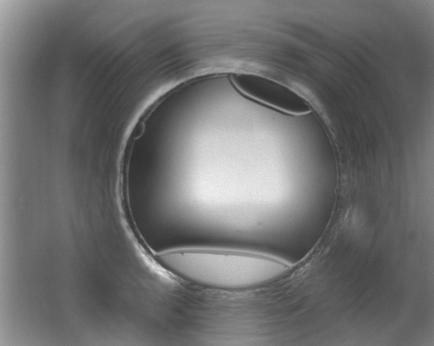 X0000062651136200512211027