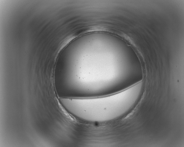 X0000062651137200512211027