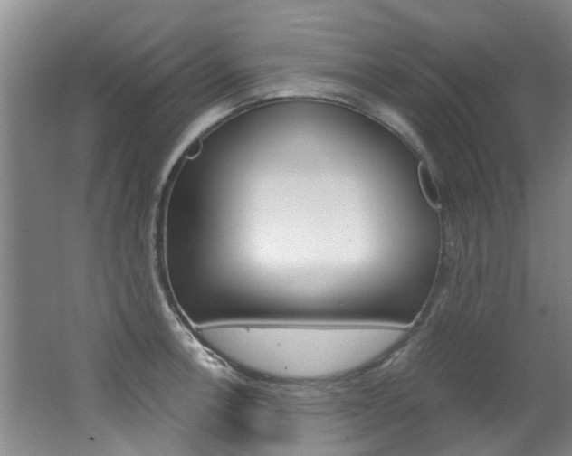 X0000062651138200512211027