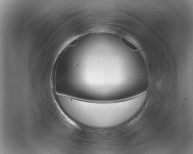 X0000062651141200512211027