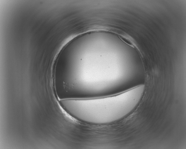X0000062651143200512211027