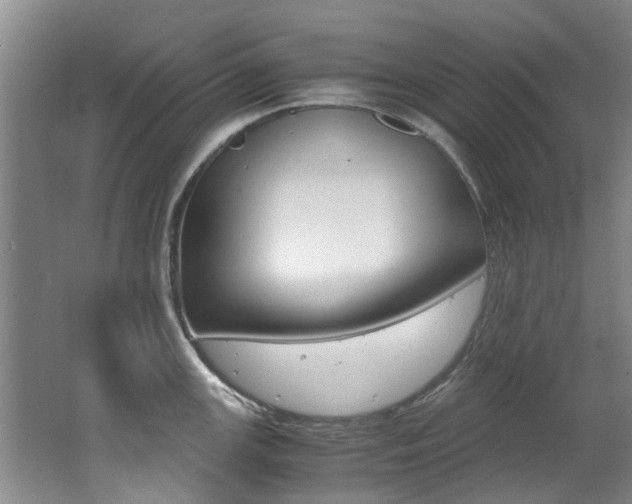 X0000062651147200512211027