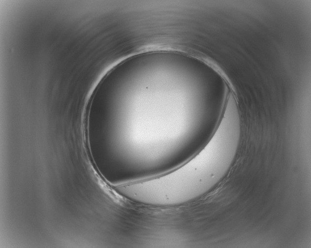 X0000062651148200512211027