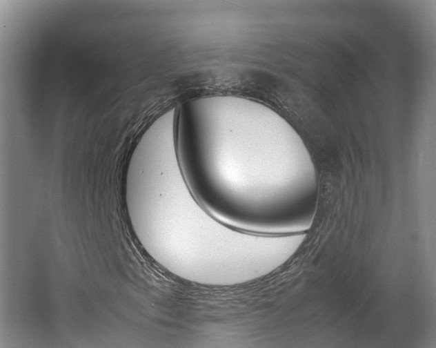 X0000062651153200512211026