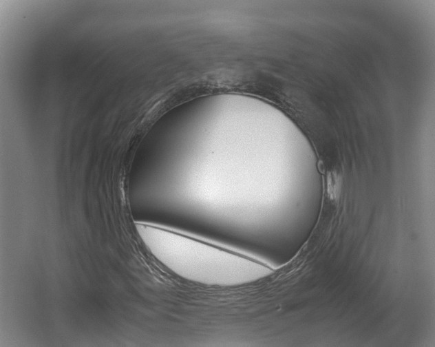 X0000062651155200512211026