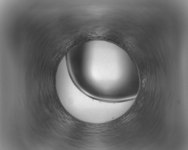 X0000062651156200512211026