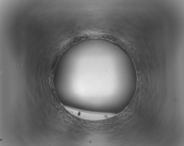 X0000062651157200512211026