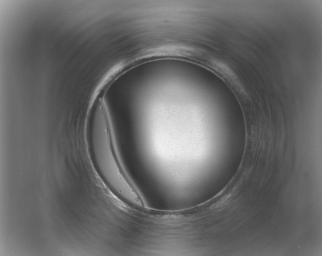 X0000062651180200512211026