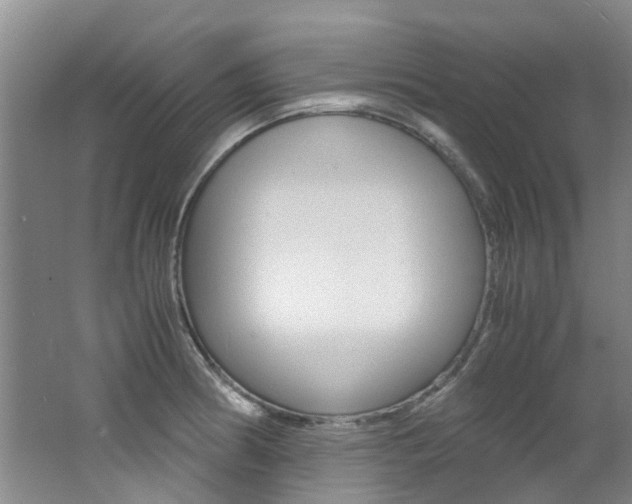 X0000062651186200512211026