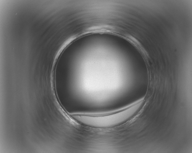 X0000062651196200512211026