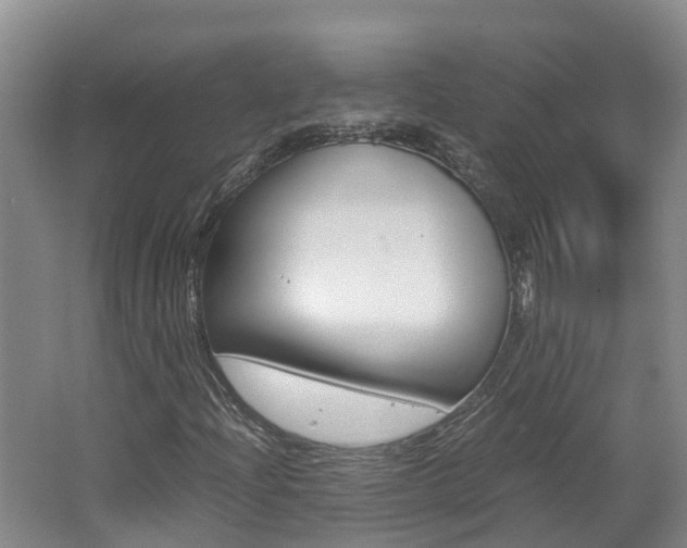 X0000062651204200512211025