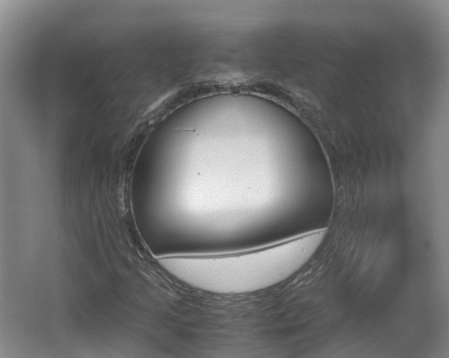 X0000062651205200512211025