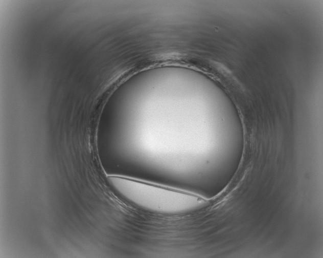 X0000062651209200512211025
