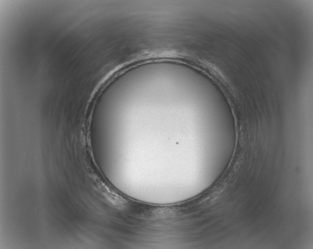X0000062651212200512211025