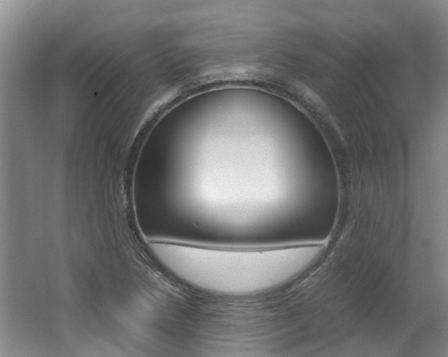 X0000062651218200512211025
