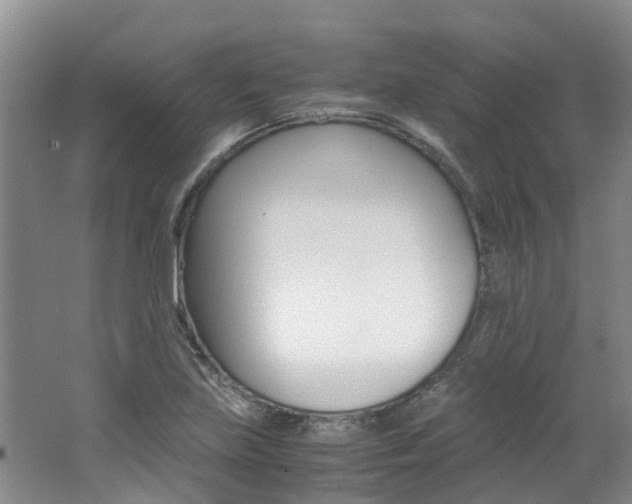 X0000062651219200512211025