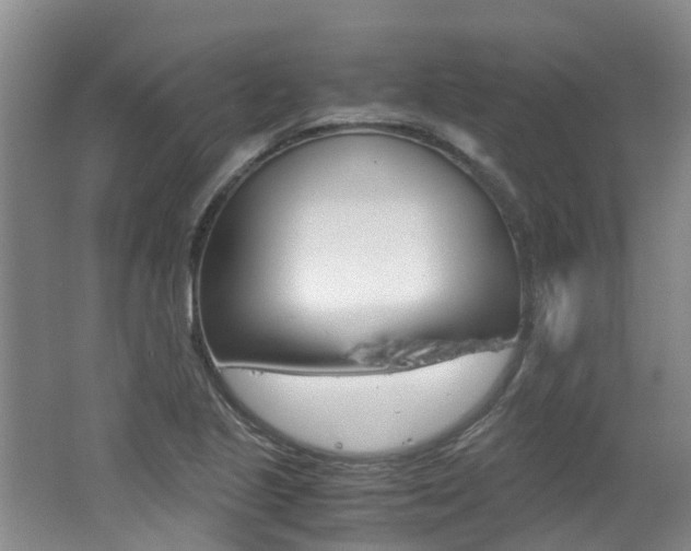 X0000062651221200512211025