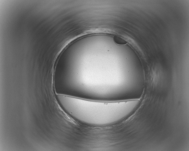 X0000062651228200512211025