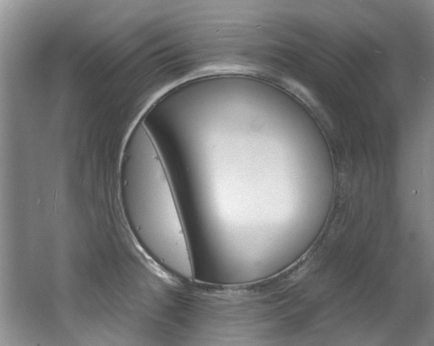 X0000062651236200512211025