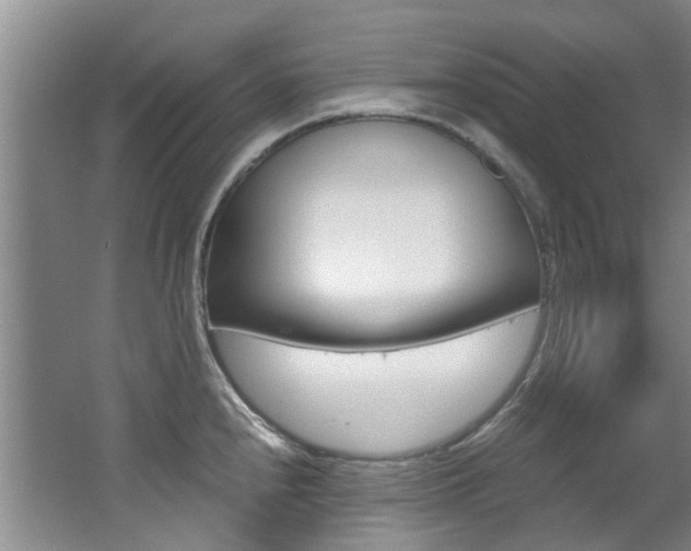 X0000062651240200512211025