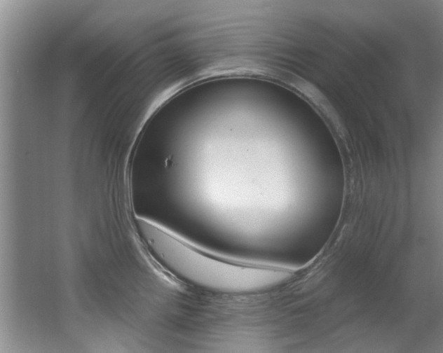X0000062651242200512211025