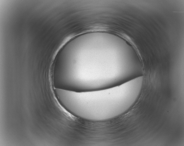 X0000062651243200512211025