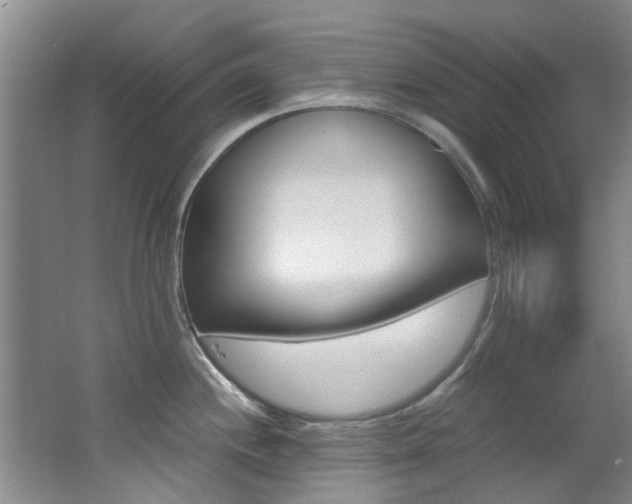X0000062651244200512211025